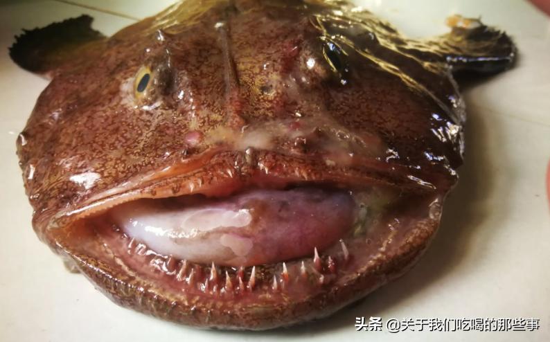 市场常见野生海鱼不能人工养殖的,什么海鱼养殖的比野生的好吃