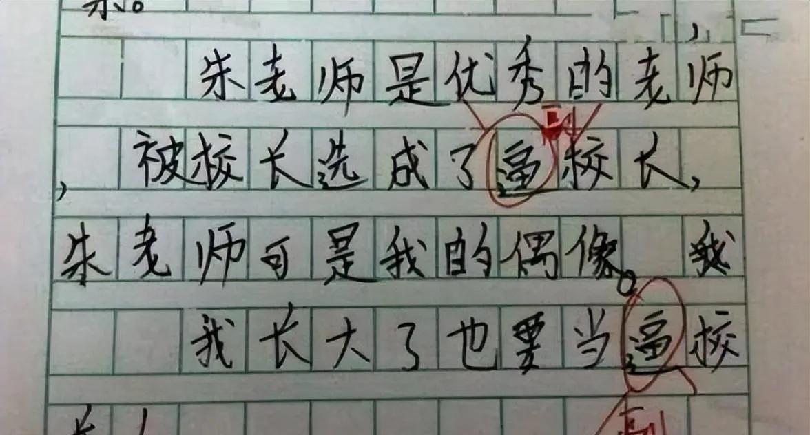 我的小姨的作文400字,三年级我的小姨作文450字