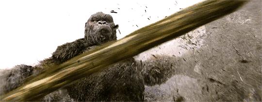 穷小子能追到空姐吗,追了五年才追到的空姐