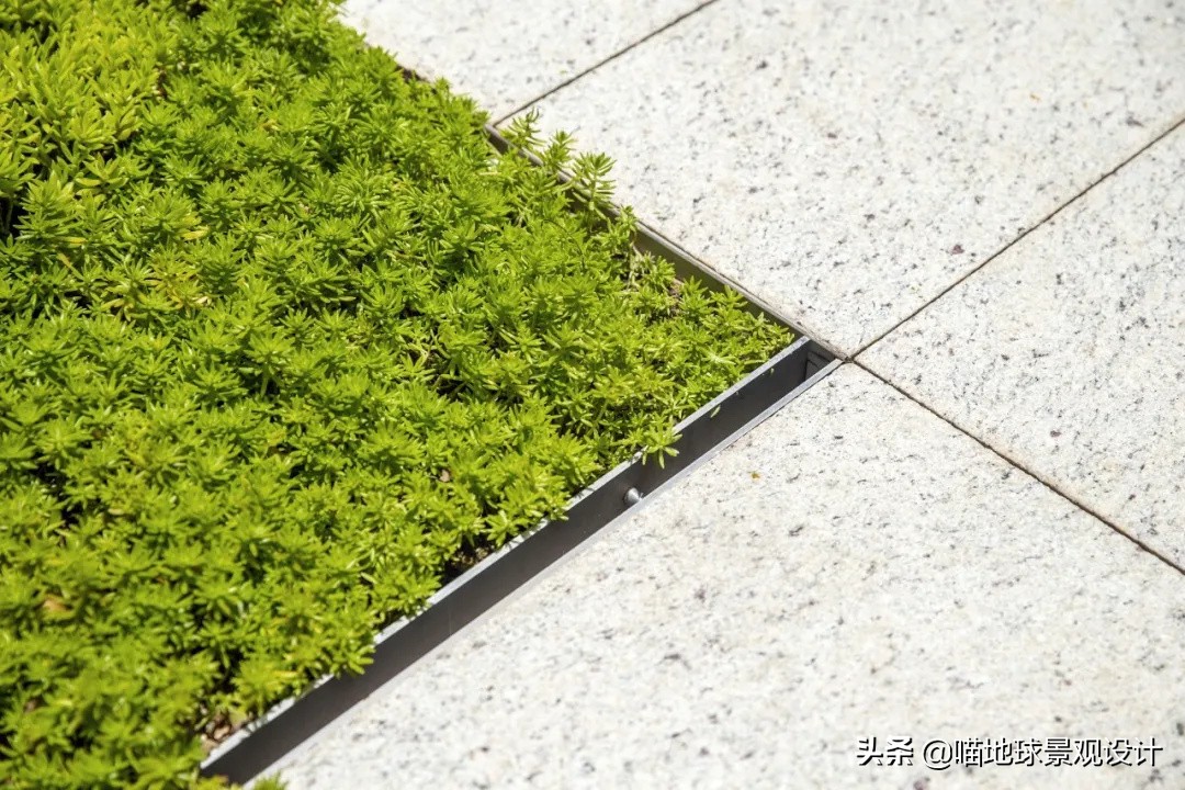 庭院景观设计细节处理视频,庭院设计中的细节处理