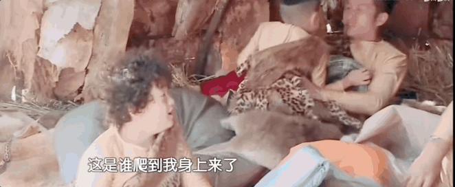 你敢信？七年前的老综现在称霸内娱