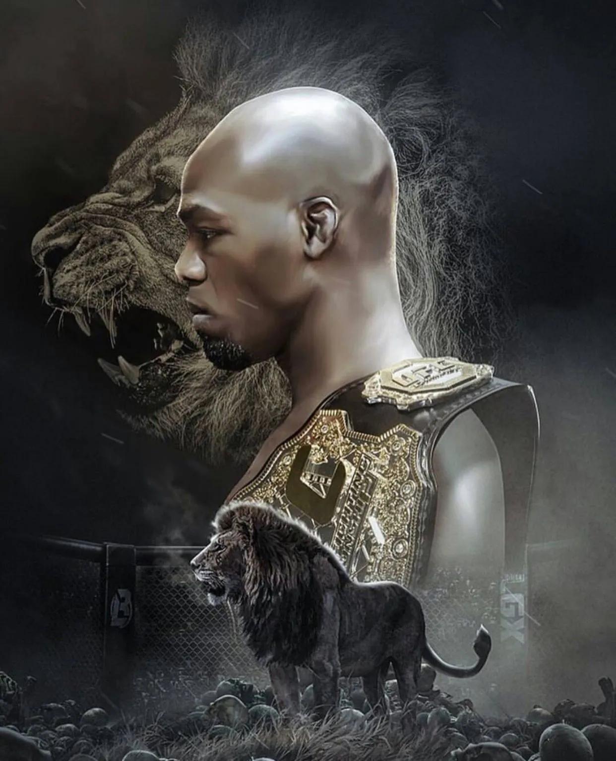 ufc综合格斗动态壁纸,ufc格斗拳套图片高清壁纸