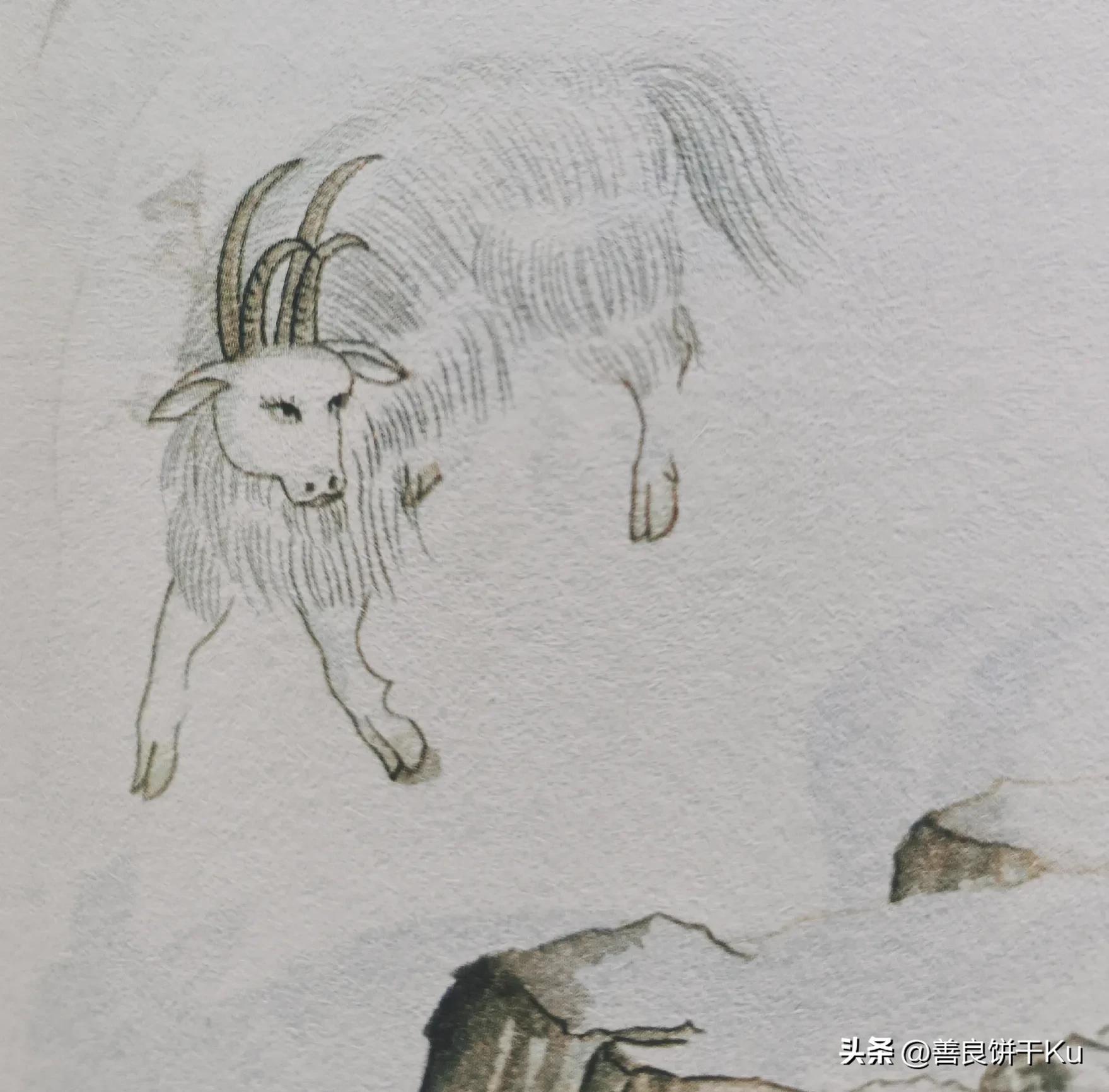 西次三经解读,西次三经什么意思