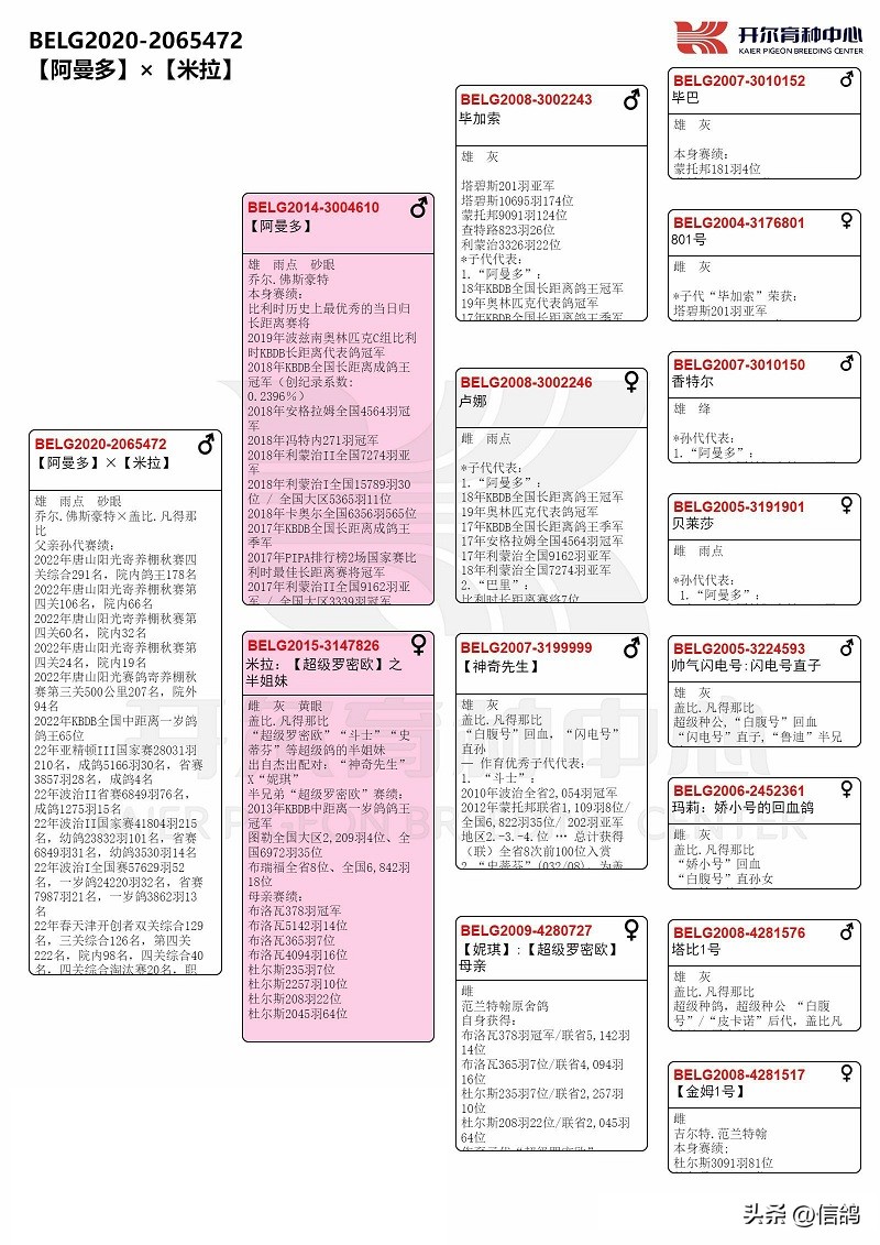 开尔拍卖2018,开尔大棚拍卖会