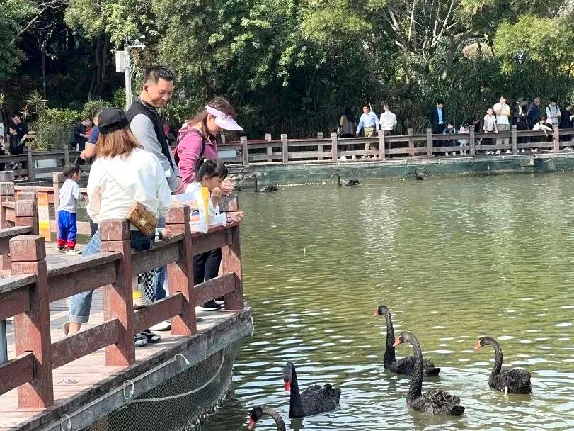 brt鐜板湪鎬庝箞涔樺潗,brt涔樺潗鏀荤暐