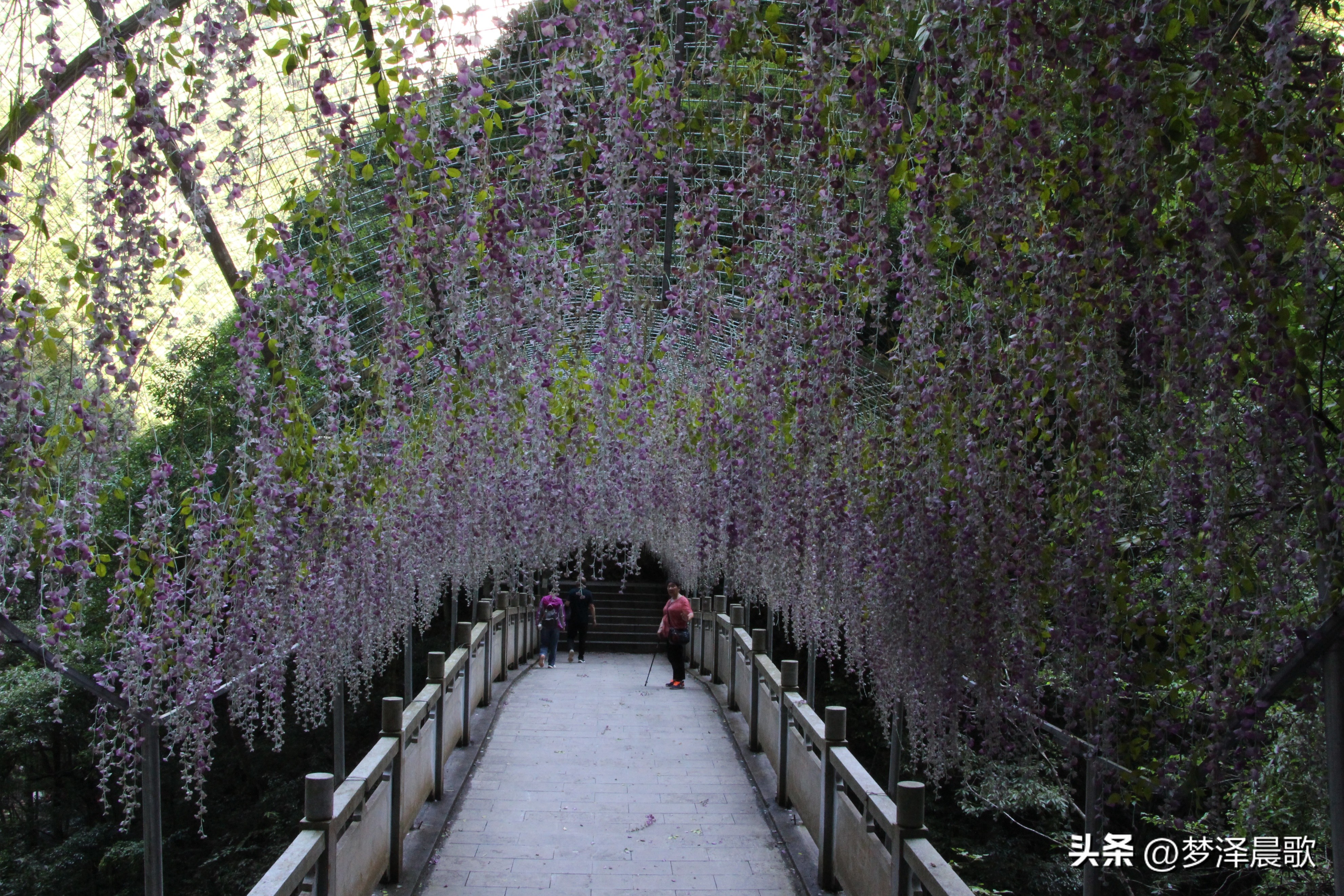 三峡巴人河景区,湖北长江三峡