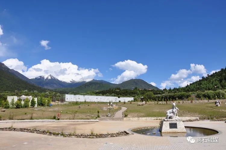 我们的旅行西藏之旅,我的西藏游记全部