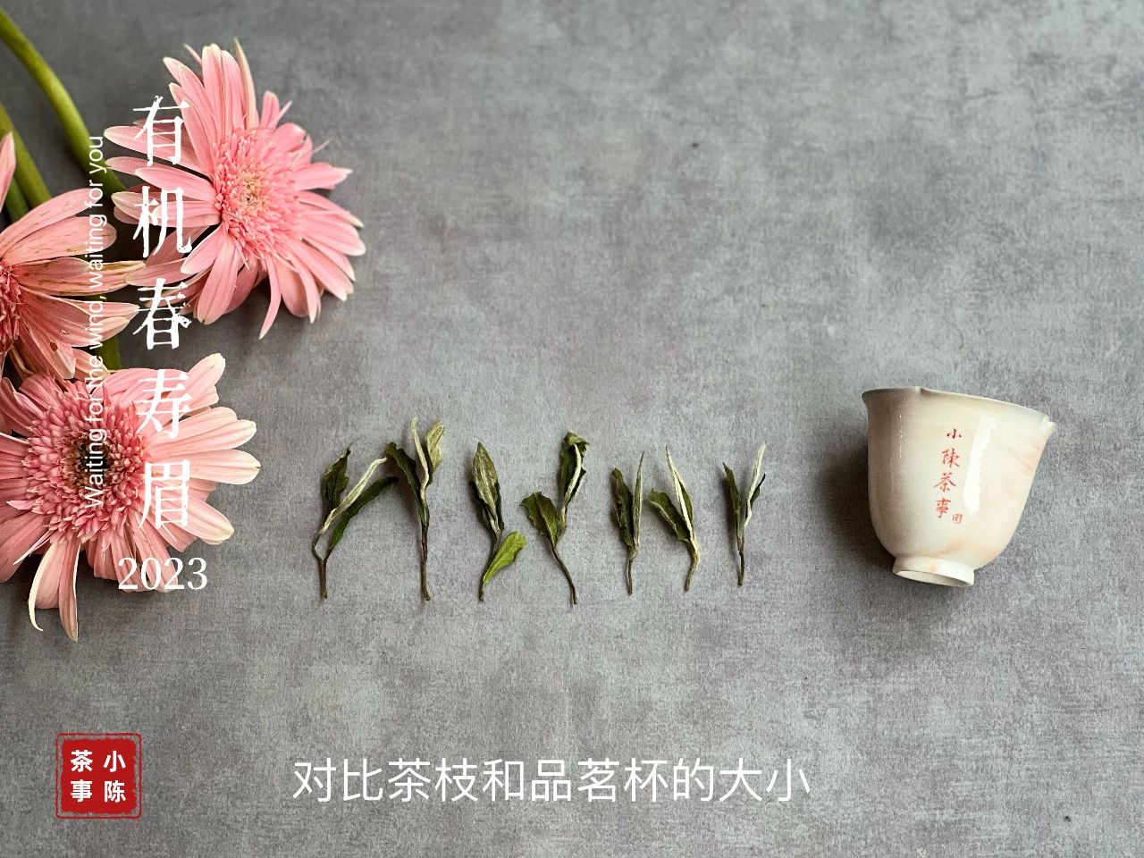用防潮袋密封存茶可以吗,密封袋里的茶怎么储存