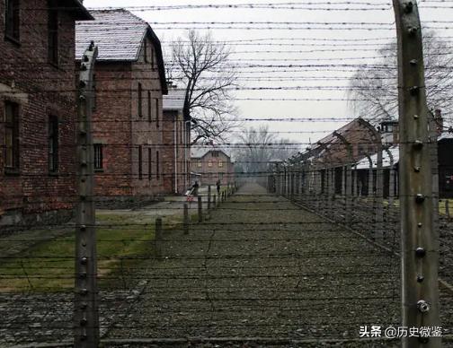 46年毛岸英回国,问父亲认不认识赤英,毛主席听后立即派人喊*德朱**