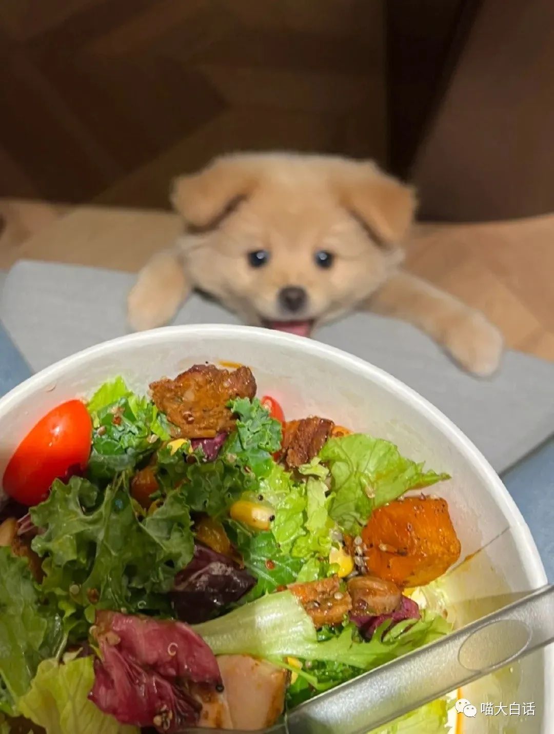 当富豪看到自己的国家队输球后...哈哈原来有钱人也会不高兴！