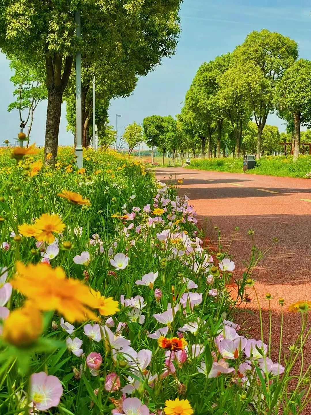 最美绿道骑行攻略,淘金山骑行绿道和东湖骑行绿道