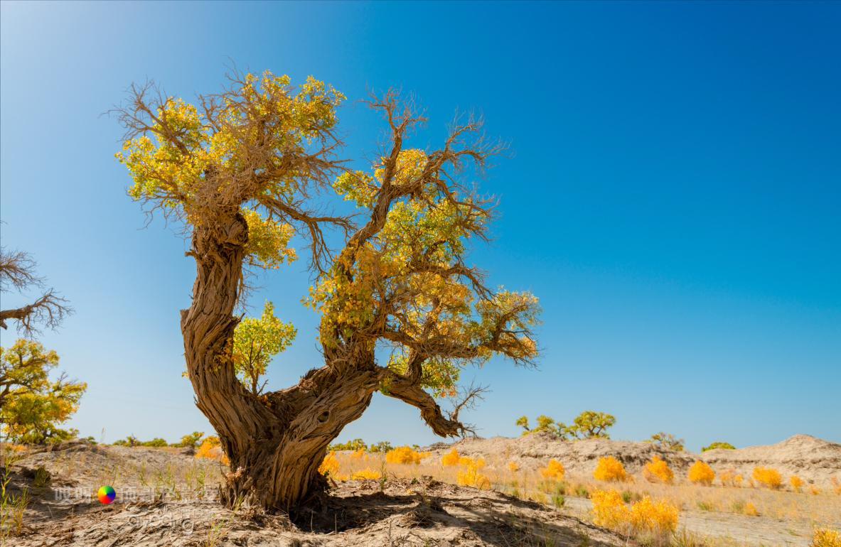女司机带娃去新疆自驾游,带着女司机自驾游兰州