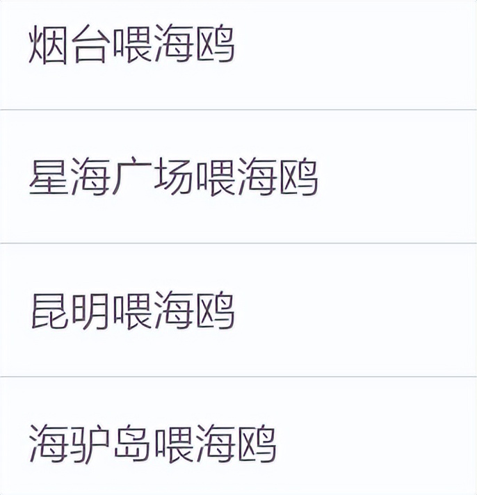 喂过一次大连海鸥，人类就要为自己的弱小羞愧