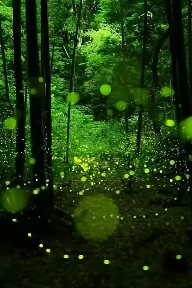 亚东以前的视频,亚东早期的视频