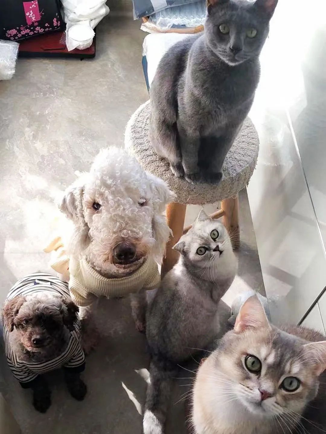 封控48天，*靠我**7㎡储藏室实现物资自由，安全感十足