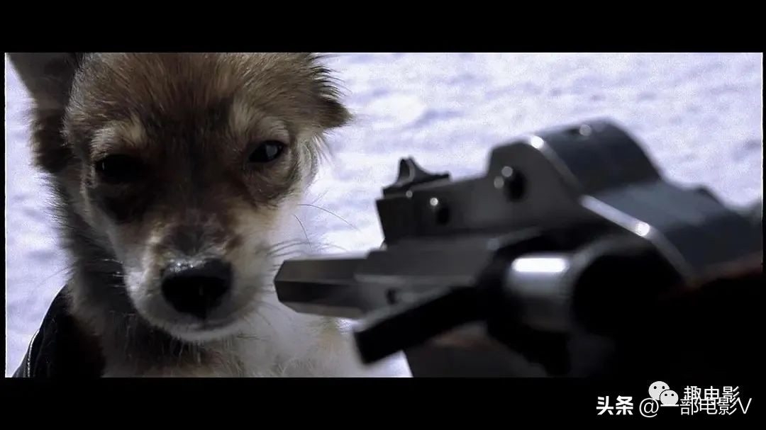 亲切的金子复仇三部曲,亲切的金子最后的复仇