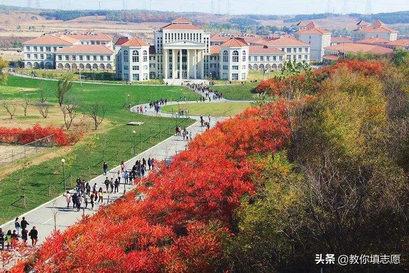 辽宁何氏医学院是正规本科吗,外省户口不可以报考哪些院校