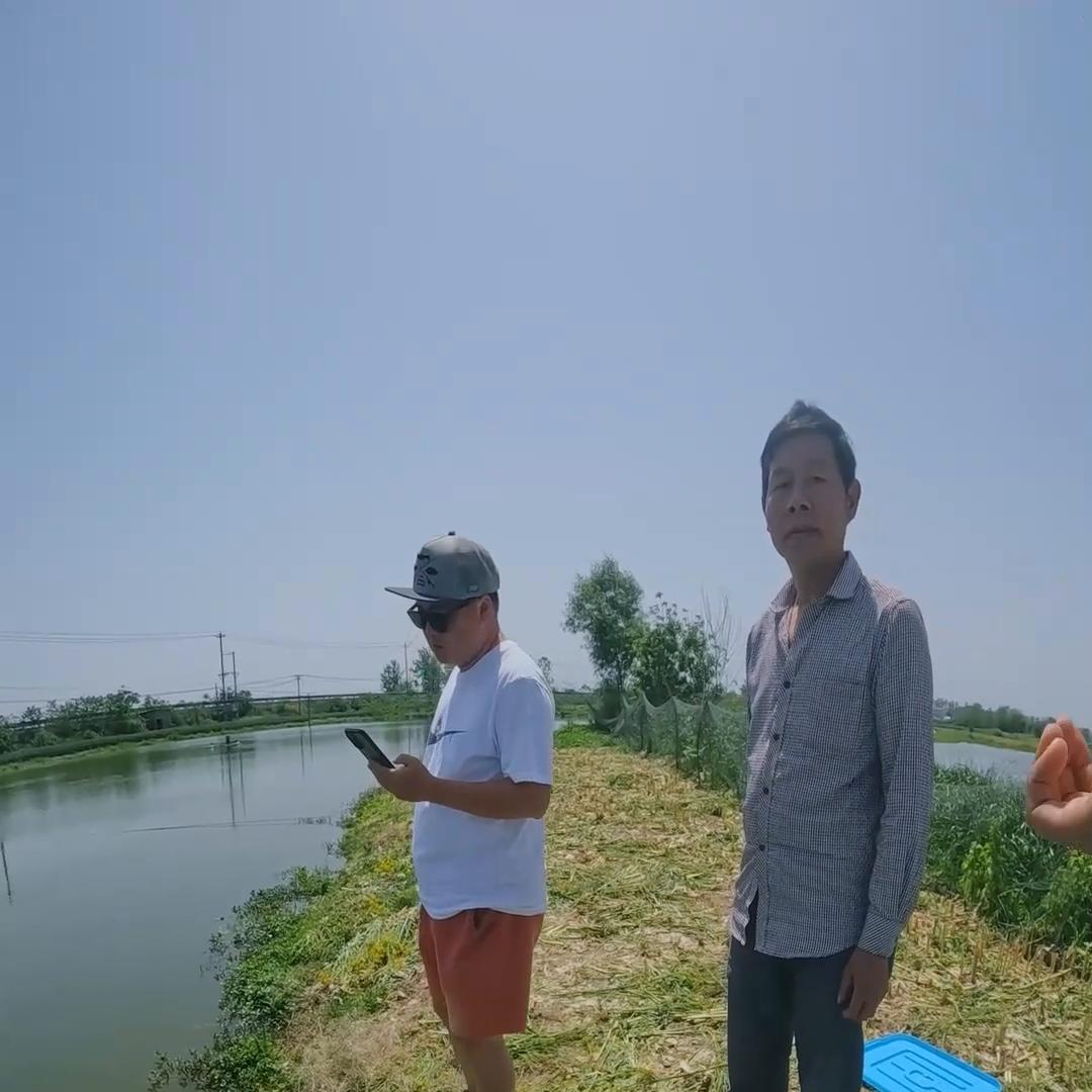 翘嘴狂口期在什么季节,什么时候是路亚翘嘴狂口期