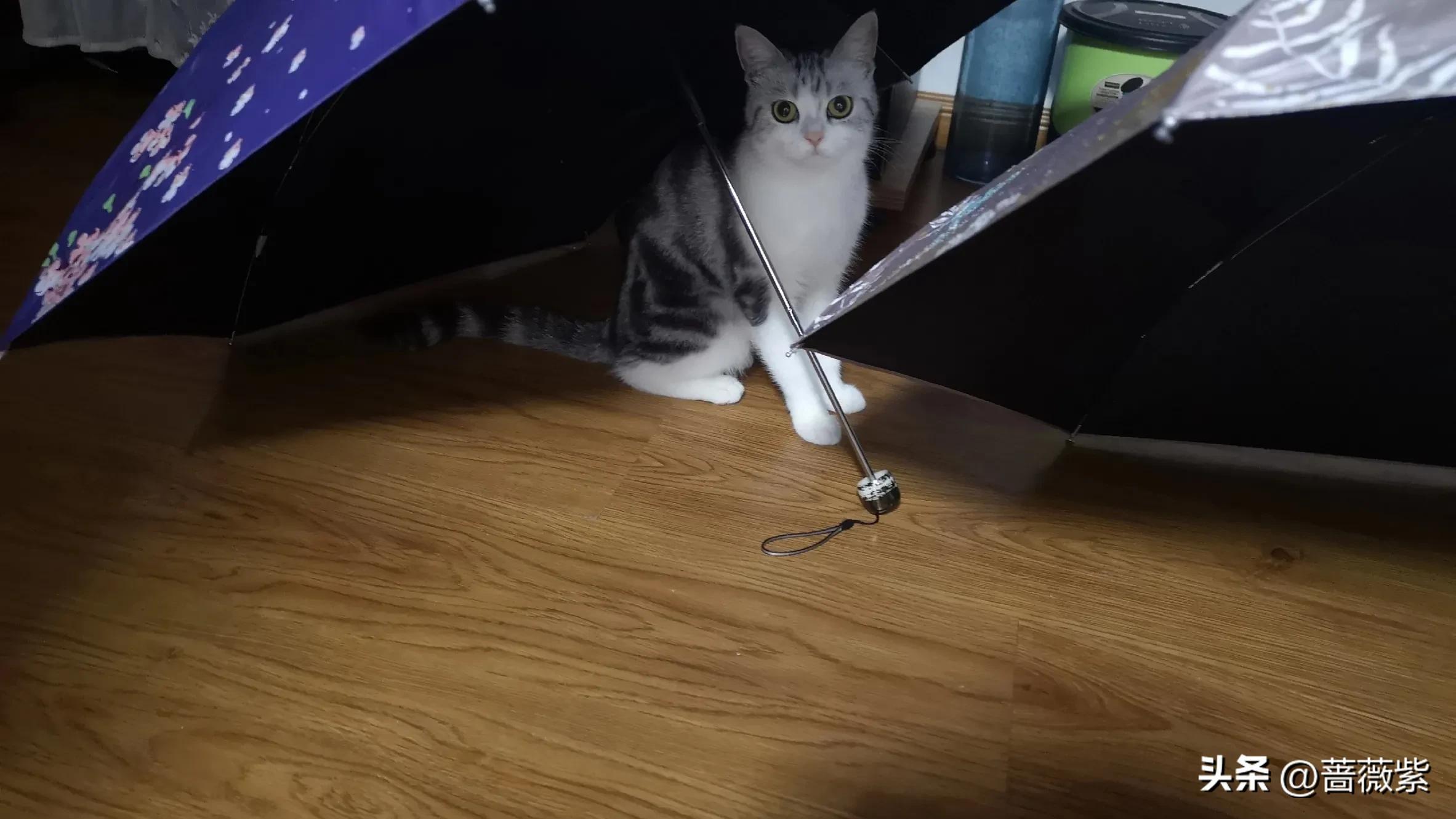 人力总监面试技巧,人力总监实战视频