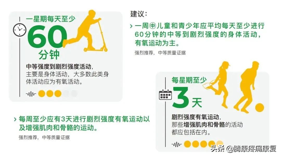 最新运动指南实锤,高效又轻松的运动指南