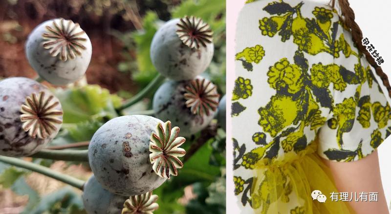 来聊聊童装,聊童装品牌