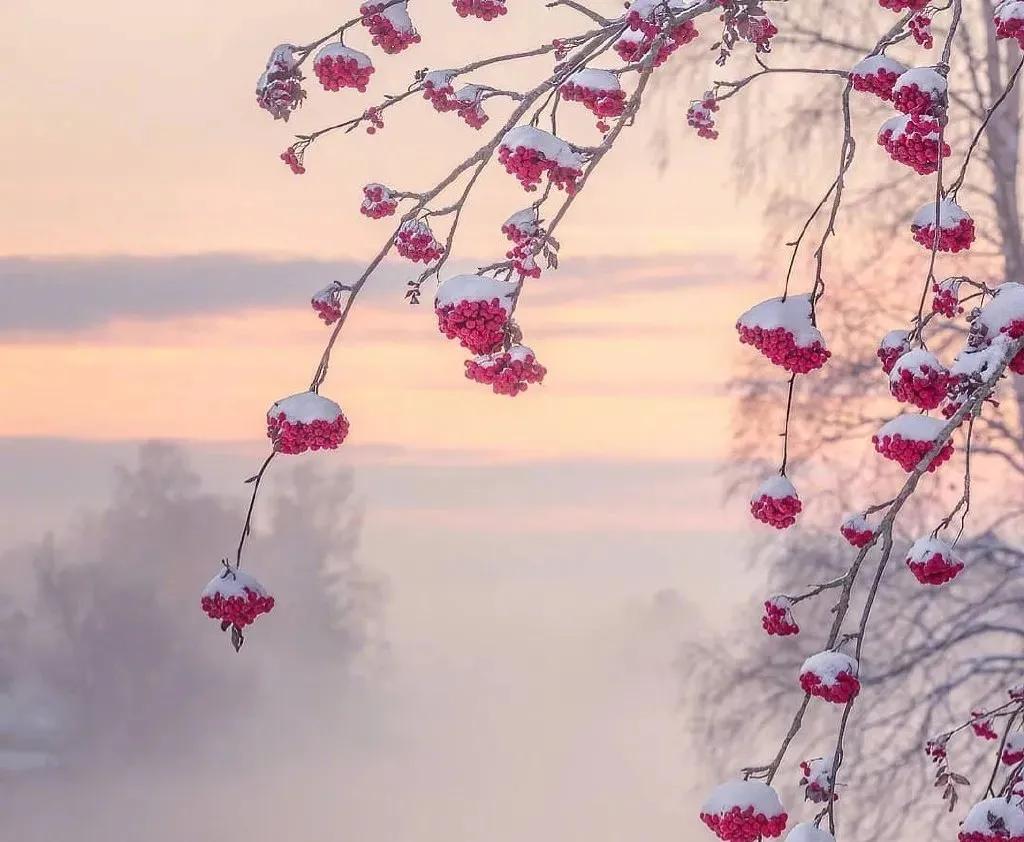 形容冬天阳光温暖的诗词,冬日温暖的诗句原创