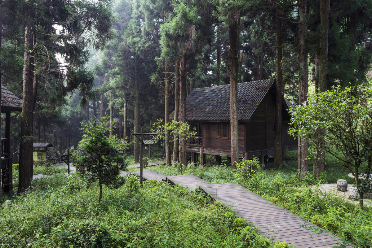 女作家去做保姆134,女作家去做保姆265