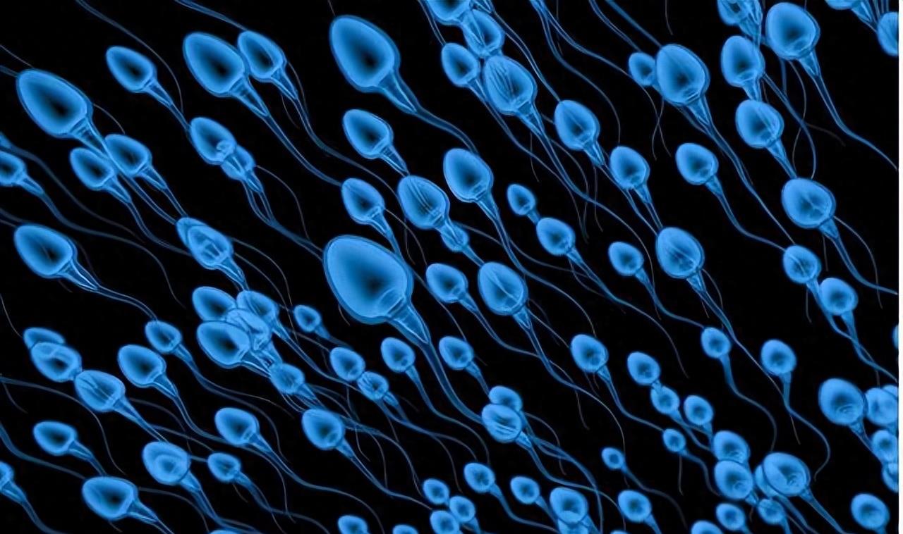 失落的小勇士们,踏上了怀孕之路