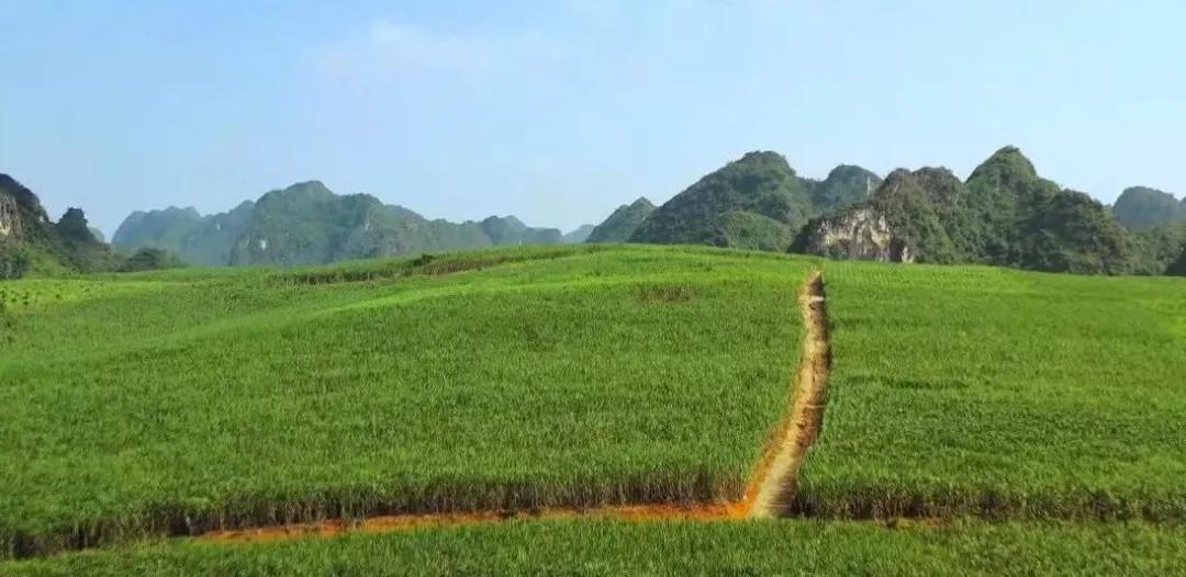 崇左是个怎么样的城市,崇左在哪里属于哪个省哪个市