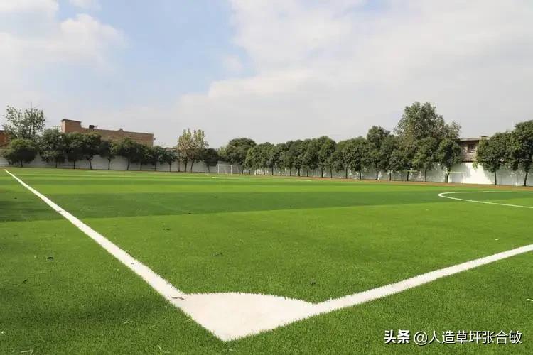 专业铺设各种人造草坪场地,人造草坪分为哪几种