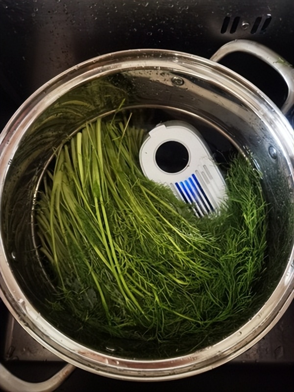 闺蜜推荐的5个小家电，买时被家人吐槽是智商税，用后个个被夸爆