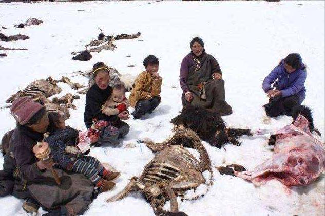 火山爆发岩浆有多可怕,火山爆发威力有多大太震撼了