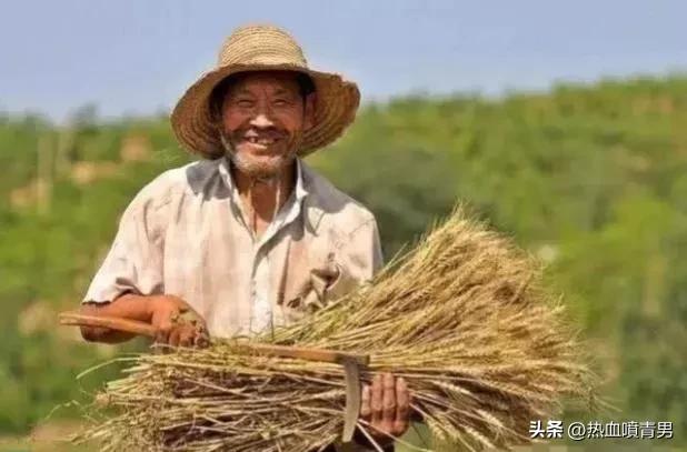 新型农业农民证,新型农业农民资格证书