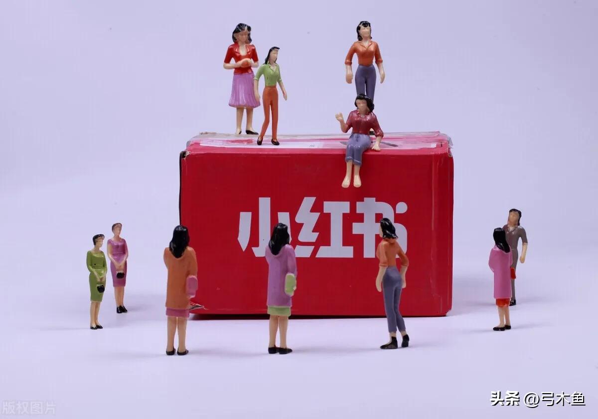 小红书如何推广拼多多店铺,小红书和拼多多哪个好