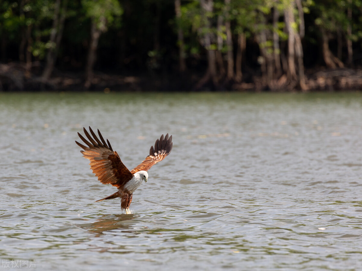 马来西亚兰卡威旅游攻略自由行,马来西亚兰卡威有什么好玩的地方
