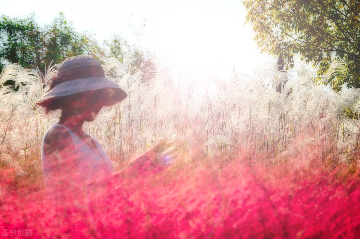 如何建立自己写的素材库,新手如何搭建写作素材库