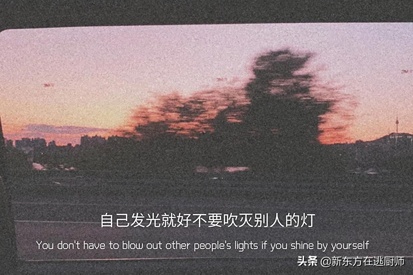 很小众却很惊艳的个性签名简短,收藏了很久的小众个性签名