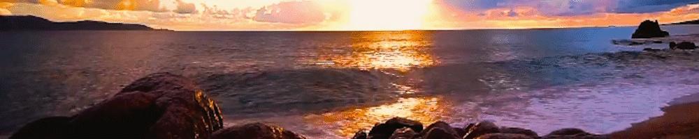 名模陈坚红简历,陈坚红名模出身