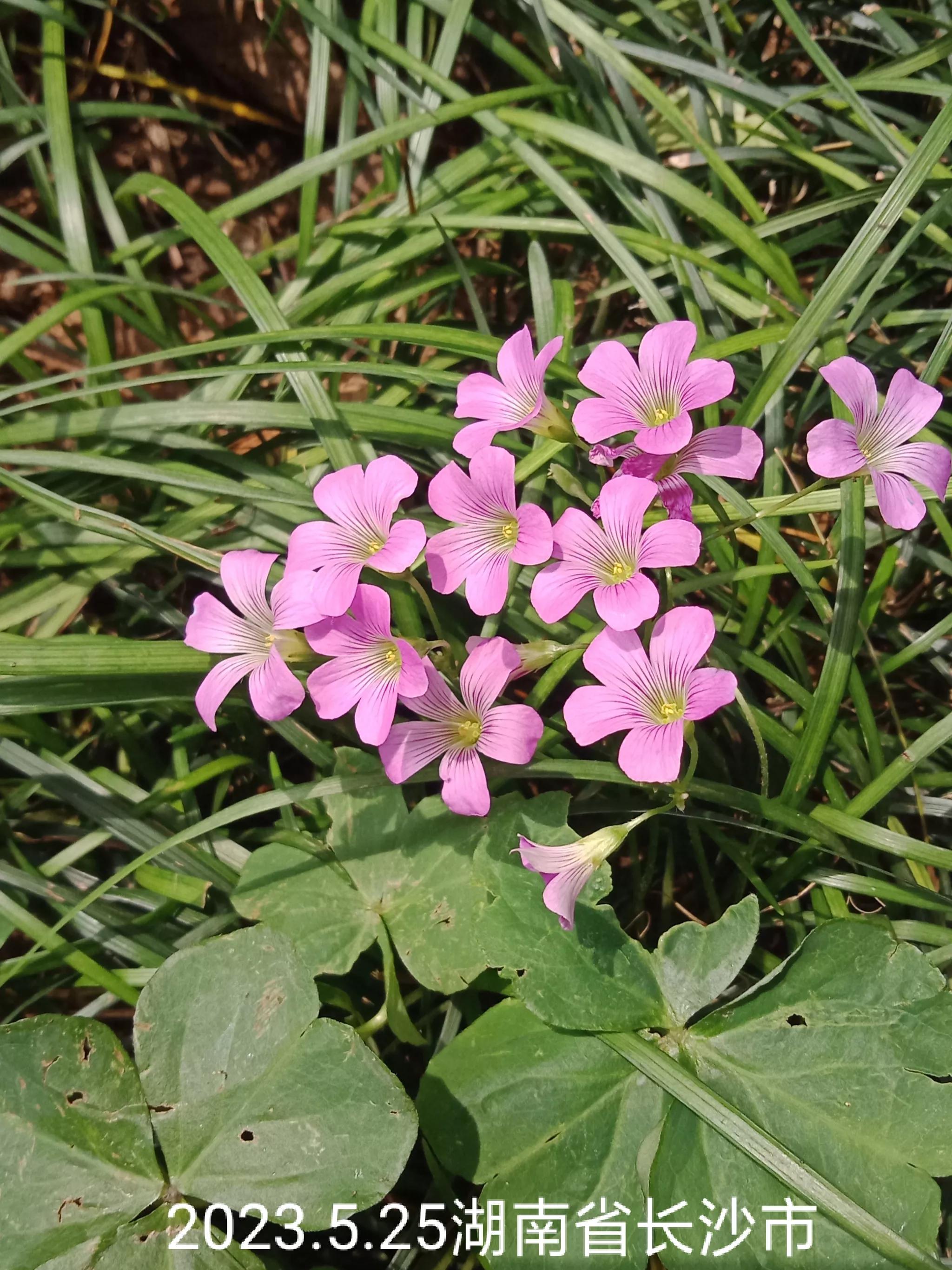 微信群没有保存下来怎么找回来,怎么找回没保存的微信群