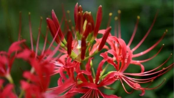 数学名词中的人生哲理,数学定理的人生哲理