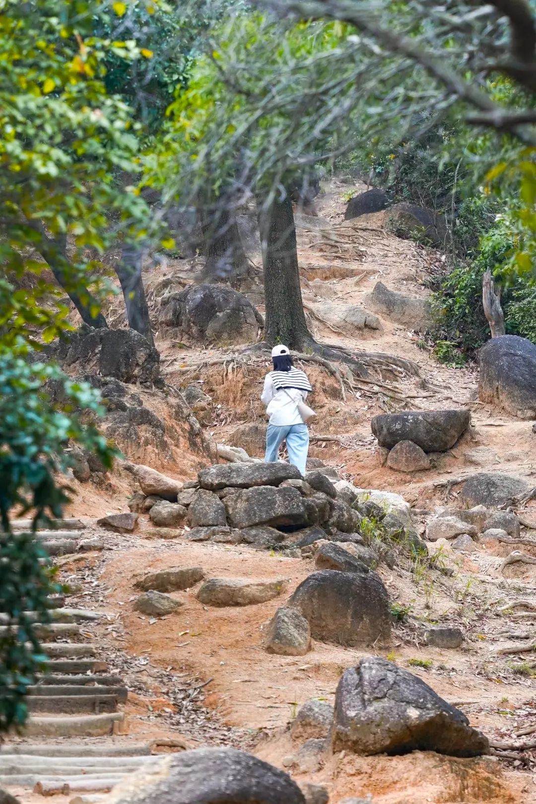 深圳十条景美徒步路线推荐,深圳水库徒步路线图