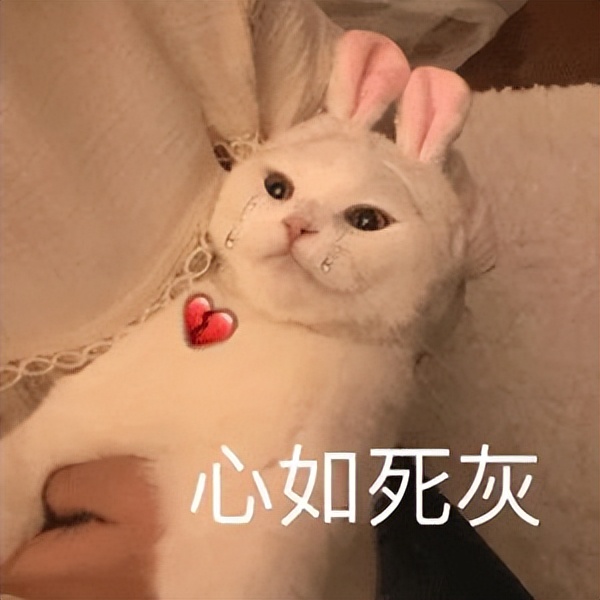 用酒店的毛巾也会感染HPV