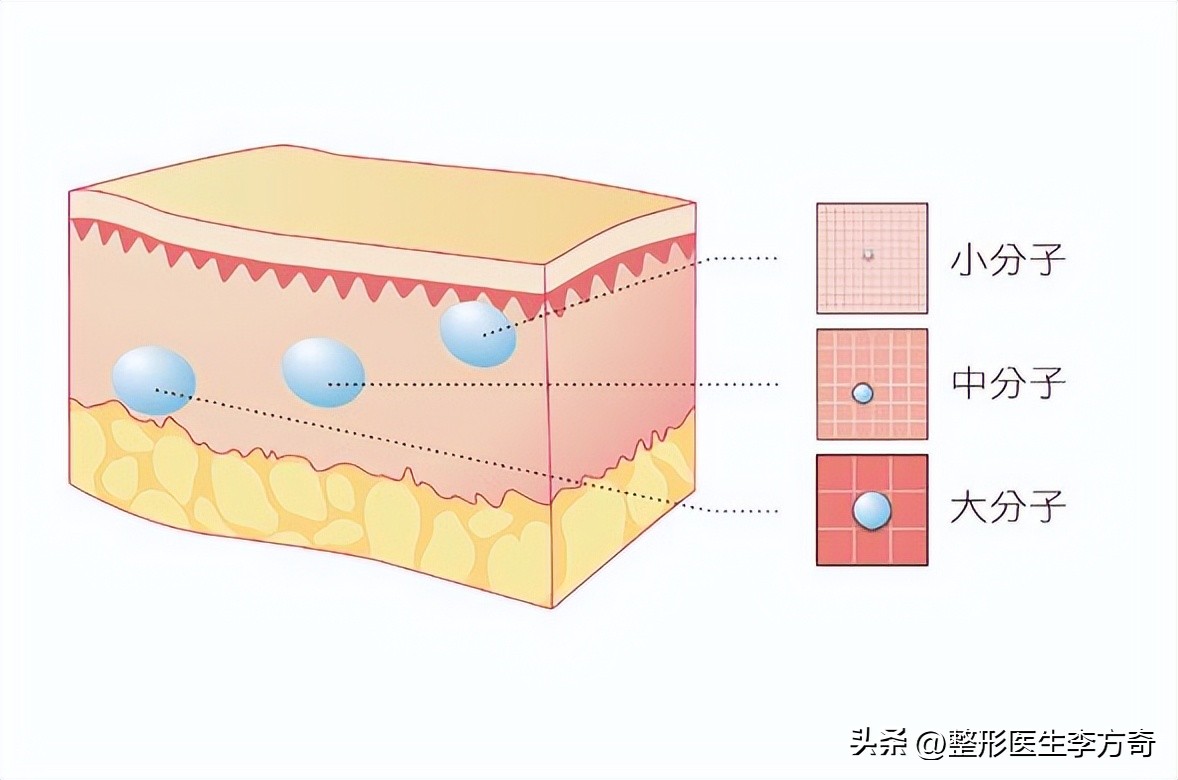女明星爱美丽化妆品怎么样,玻尿酸功效与作用护肤