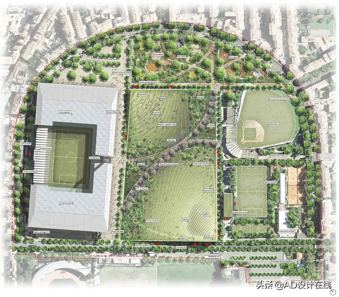 弗兰基球场改建,佛罗伦萨弗兰基球场