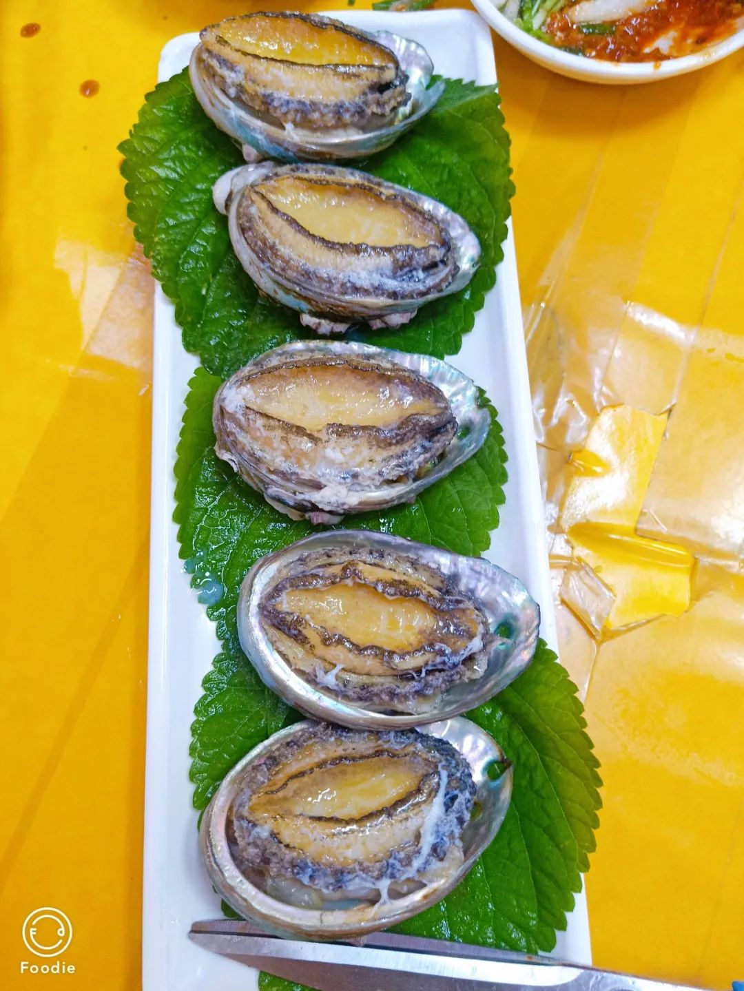 90后江江在韩国：海浪跫音，路在自己脚下