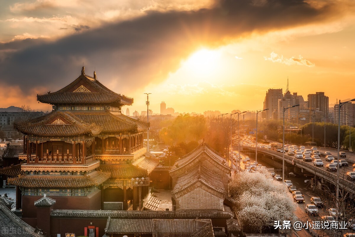 张玉植发,雍禾植发董事长张玉个人身价