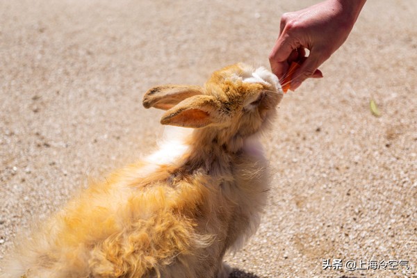 探索不一样的世界,日本小众山阴游玩攻略