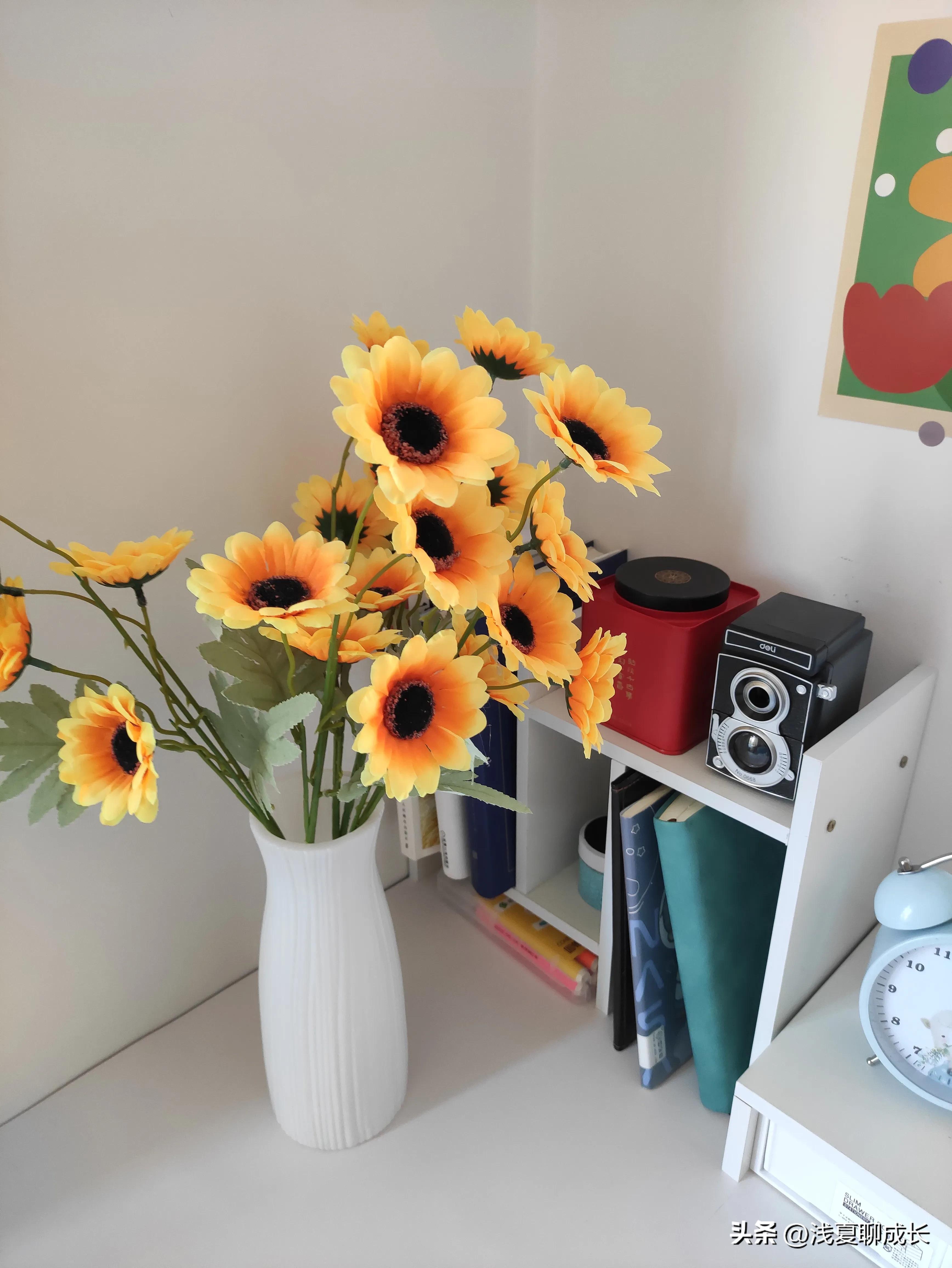 35岁全职妈妈｜6步教你从0到1做小红书博主