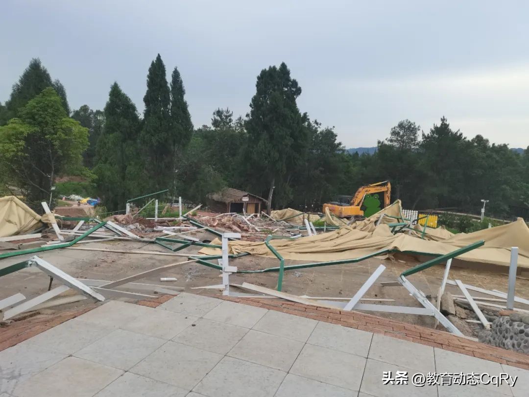 萌宠乐园报道创业青年肖莉昨日励志演讲，如今为何遭拆除要说法？