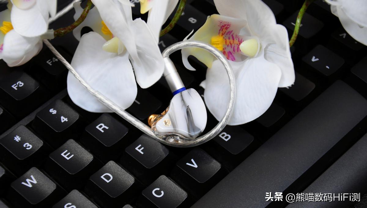 百元价格千元音质——HiFi性价比之王，竹林鸟惊鸿2022耳机评测